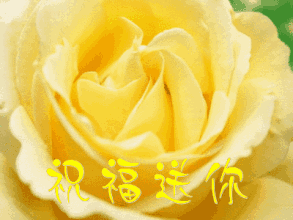 情人节送老公什么今天2.14日情人节，999玫瑰送给所有朋友，祝你们情人节快乐