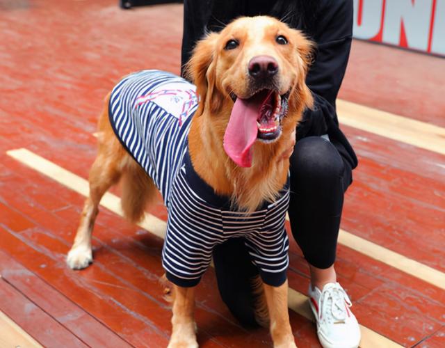 喜欢狗的女生性格，喜欢养狗的女生性格特点（一般是这6种，你是哪一类）