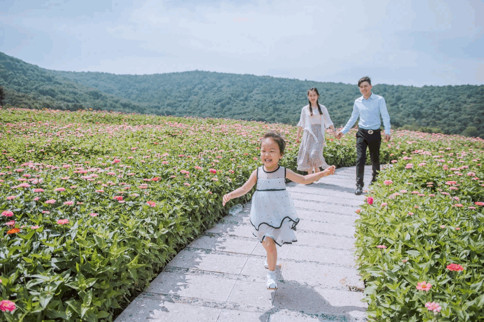 拈花湾攻略必去景点，1600亩拈花湾樱花海