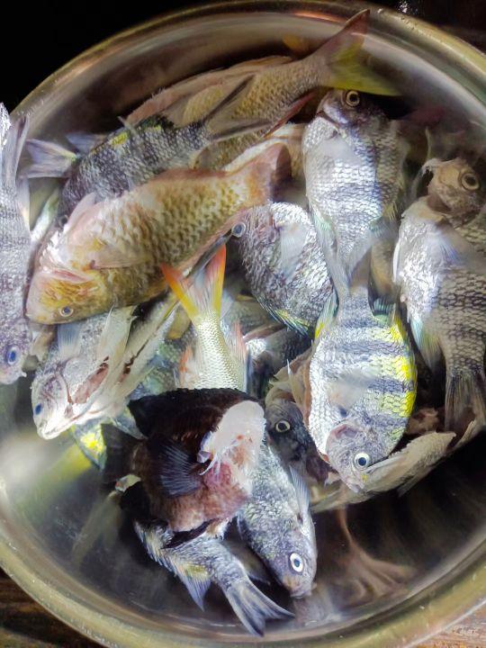 为什么很多人去印尼打工，记录印尼打工生活点滴