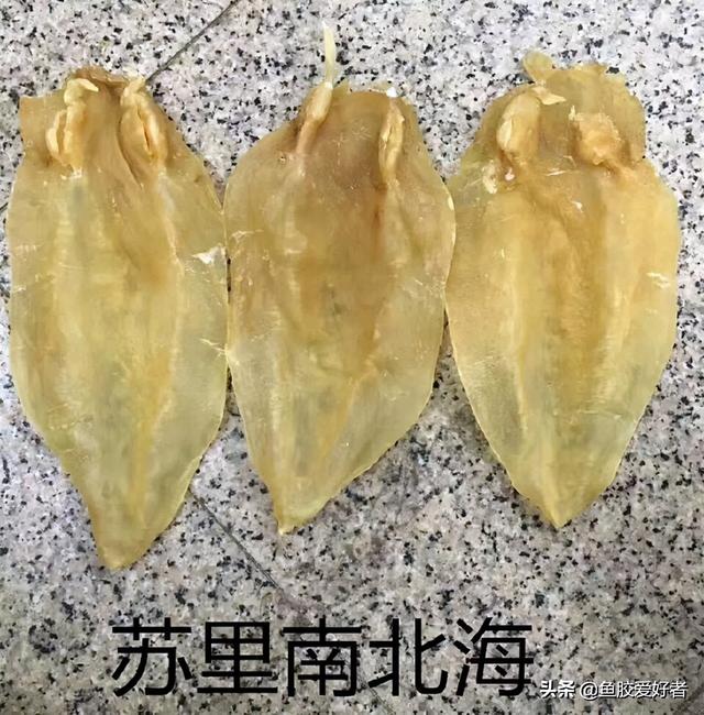 市场上哪些鱼胶好，这几款鱼胶要效果有效果