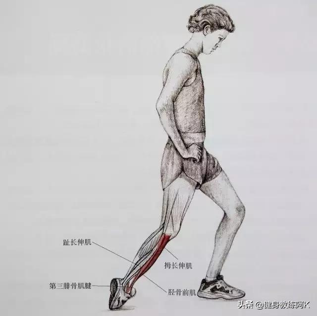 防止小腿变肌肉腿的拉伸动作，跑后7大拉伸动作