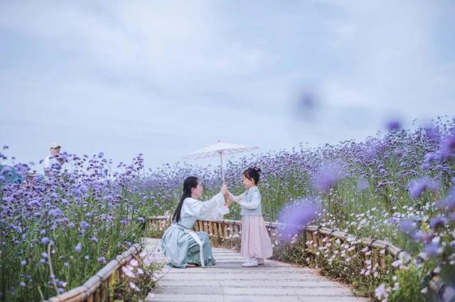 拈花湾攻略必去景点，1600亩拈花湾樱花海