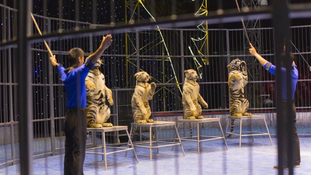 罗源海洋世界主要景点介绍，周末好玩景点推荐