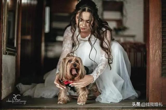 有创意的婚礼方式，18个婚礼创意环节