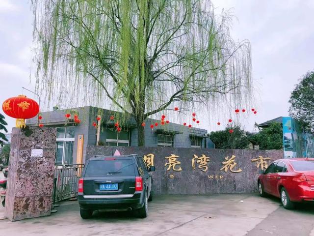 成都便宜的花卉市场在哪里，“214”探访成都万福花市