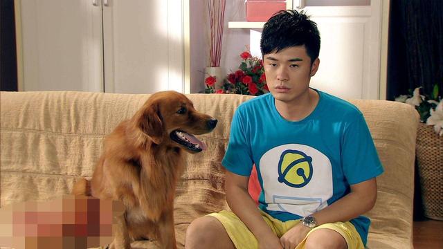 陈赫与女友许婧，陈赫喜欢张子萱还是许婧