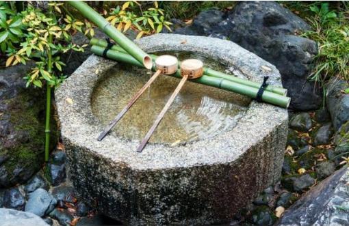 荷花深处有禅意，禅意的荷花