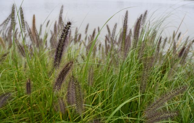 成都周边游楠木溪，成都周边免费一日游