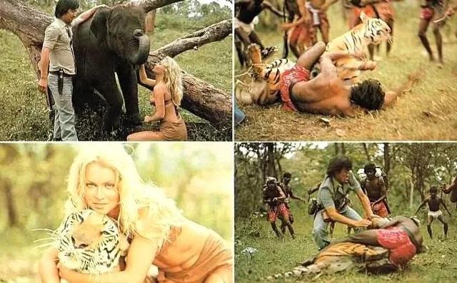 哥斯拉金刚最后金刚被关在哪里，这场世纪之战可太燃了