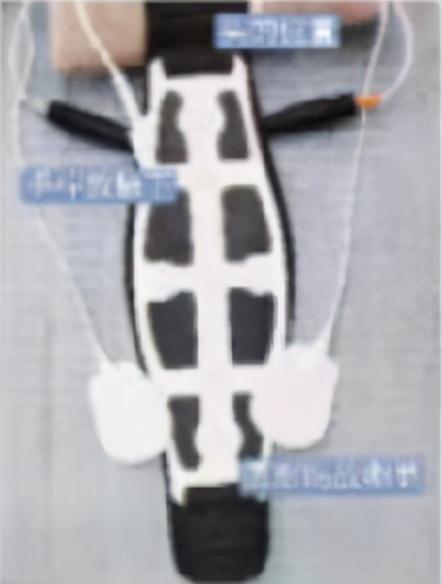 春季开背管理方法，3个管理方法很重要