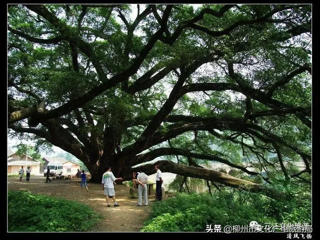 三江必去的景点，三江旅游攻略必玩的景点