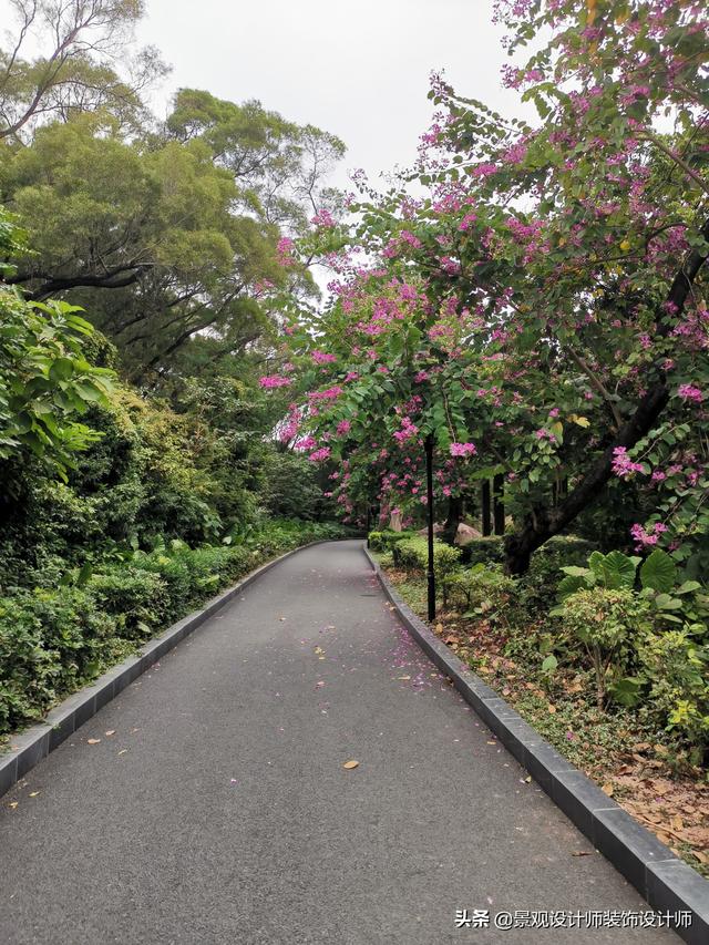 深圳市南山区中山公园，广东省深圳市中山公园