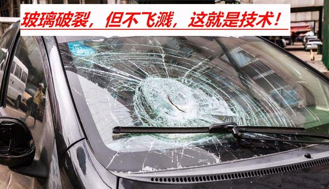 老虎能拍碎汽车玻璃吗，老虎能打碎汽车玻璃吗（老虎拍碎玻璃 游客逃窜）