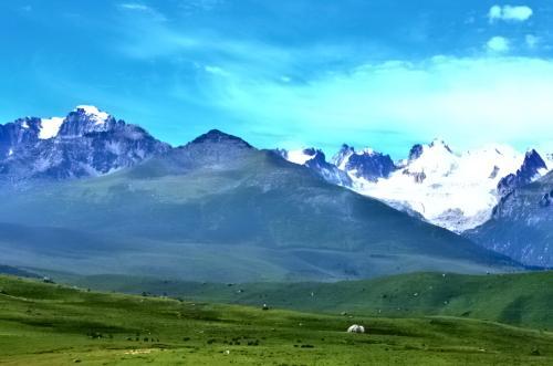 高原反应吃什么药，旅途中出现高原反应怎么缓解（去高海拔地区您要注意高原反应）
