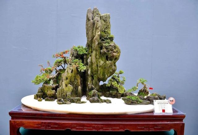 山水石盆景制作图解，将大自然景象融入盆景