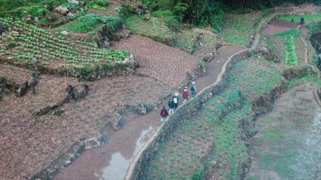 杨洋大学毕业学校，全国优秀大学毕业生成为特战尖兵