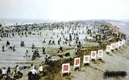 莆田系是个什么梗，“莆田系”风云四十年大起底