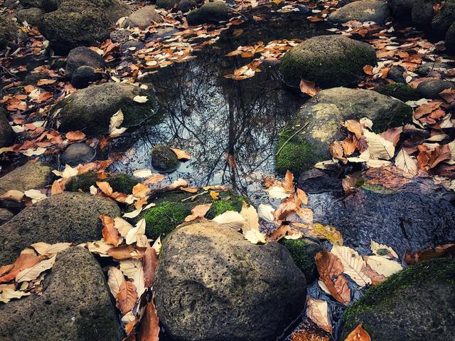 僧观寺一日游怎么玩，超省心攻略指南