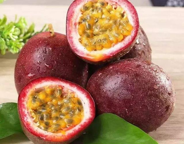 狗狗可以吃提子吗，狗狗不能吃的五种水果