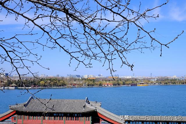 北海公园景点介绍，北海公园旅游攻略（北京周末去哪儿——北海公园）