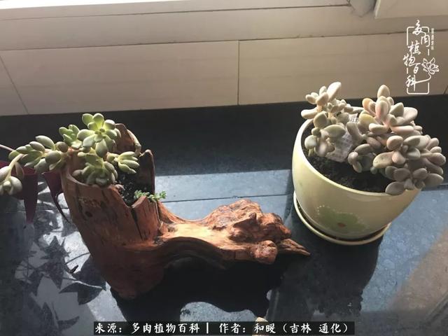 买肉，买肉的正确方法和注意事项