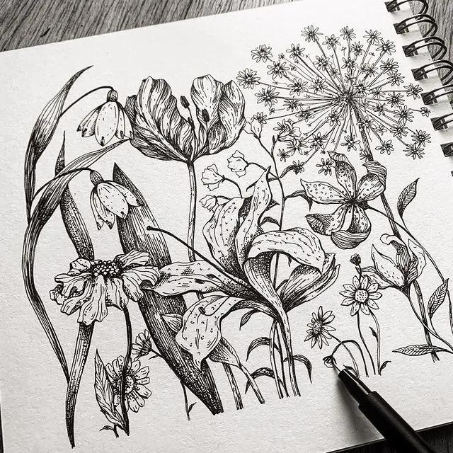 妙笔生花水墨画教程，教科书级别的植物线描