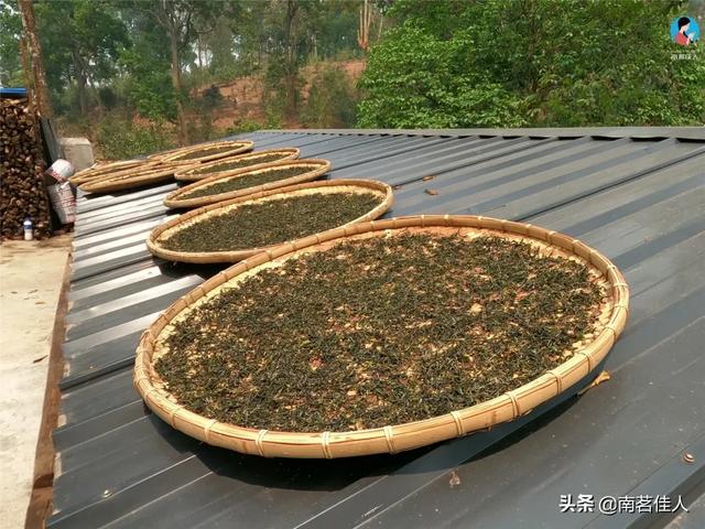 手工制茶的六个步骤，南茗佳人手工制茶过程全公开