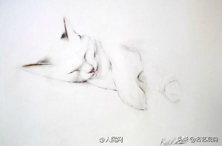 100种小猫怎么画，100种画真猫的画法（教你在纸上养个主子）