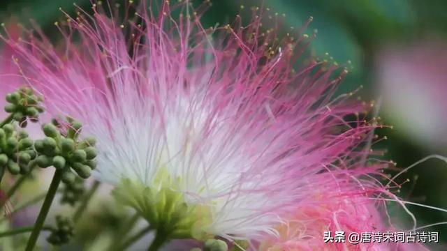 铜官窑瓷器题诗，最著名的十首爱情诗