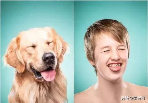 狗狗睡姿看性格，从狗狗睡姿判断狗狗性格