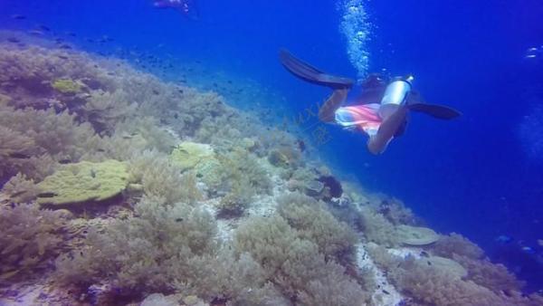 菲律宾旅游必去的岛地图，菲律宾最美的岛屿