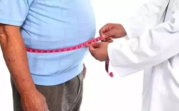 肚子肥胖护肝片(护肝片有助于减肥吗)