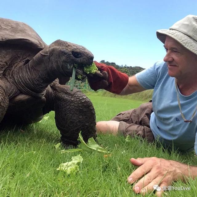 八种最长寿的动物，地球上最长寿的10种动物