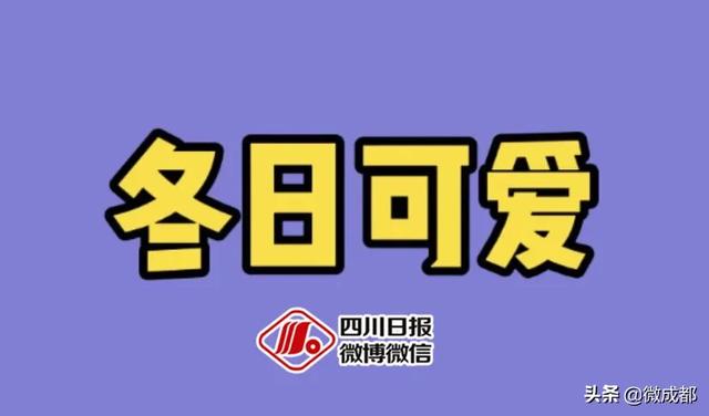 四面八方这样类似的成语有哪些，盘点那些不像成语的成语