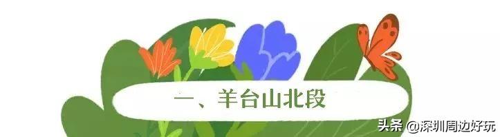 深圳 十佳绿道，深圳最美绿道-龙华区环城绿道羊台山段