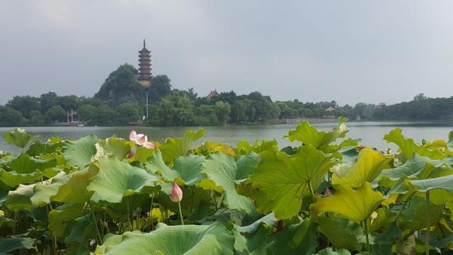 镇江旅游景点排名前十，镇江最好的旅游景点（有车没车都必去的十四个景点）