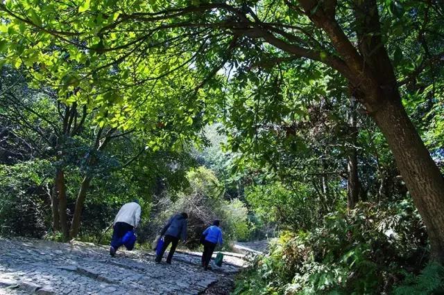 宁波有几个古道可以爬山的，宁波这11条登山健身步道你走过吗
