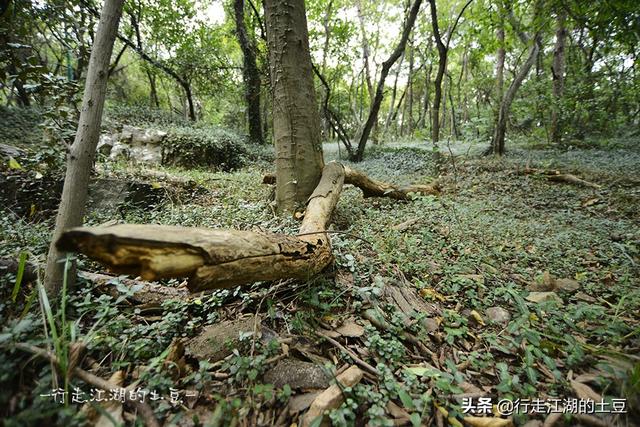 虞山国家森林公园，历史上的虞山公园