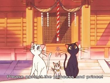 美少女战士露娜，美少女战士黑猫露娜