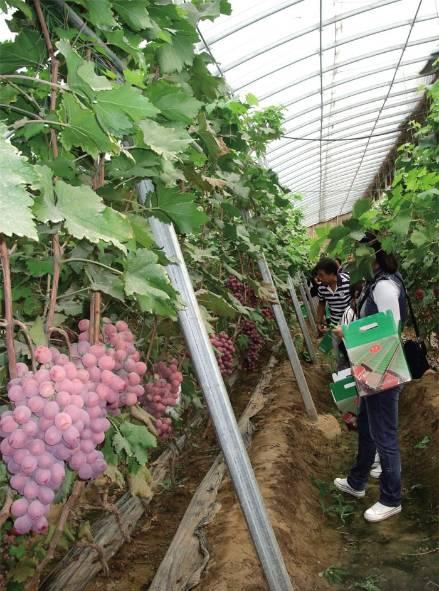 辽宁营口旅游景点，营口市九大景点，你都去过哪里