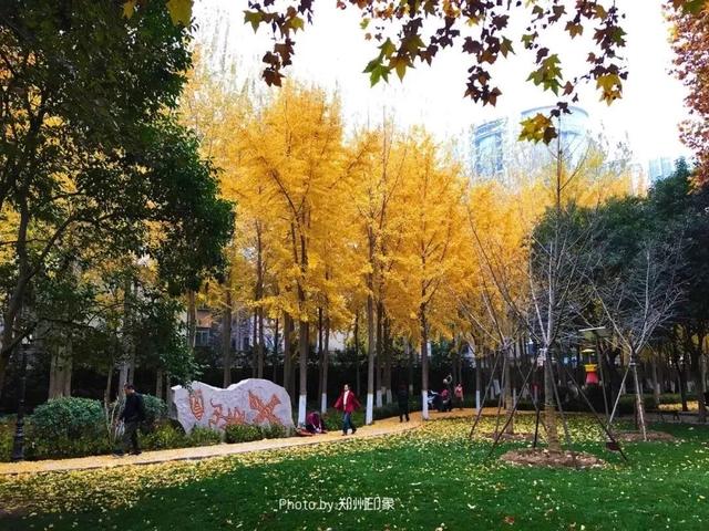 郑州周边免费景点，郑州最近免费旅游景点大全（不出郑州的8个赏花遛娃地）