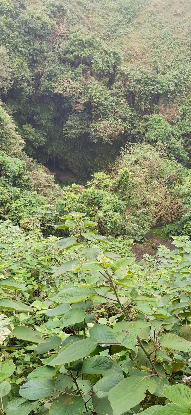 火山国家地质公园旅游，火山口地质公园游览感受