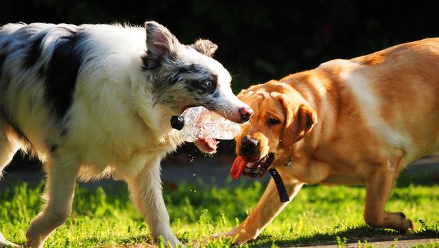 奥林巴斯em1，奥林巴斯em1mark3测评