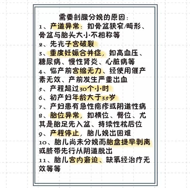 猫的生育常识和技巧，最全的入门级生育指南