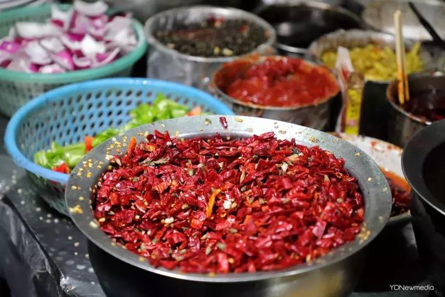 黑龙潭鲶鱼王，电工都搞不定的鲶鱼王