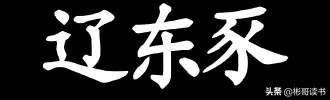 山海经中四字成语，成语里的故事辽东之豕