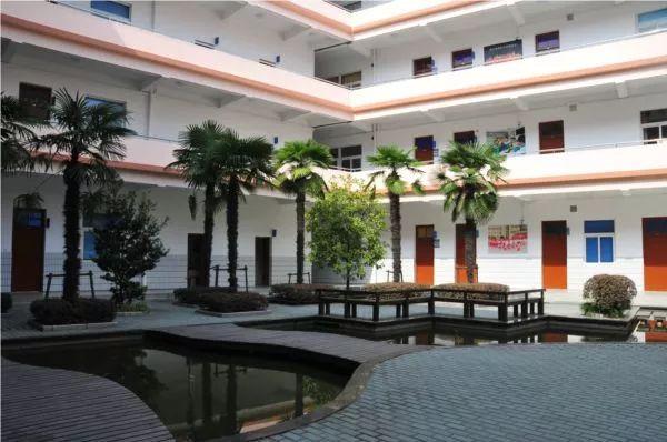 上海十大最难进的小学，上海菜小的逆袭