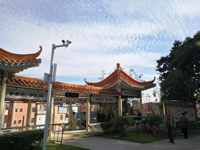 番禺化龙镇景区，快来pick你的“打卡点”吧