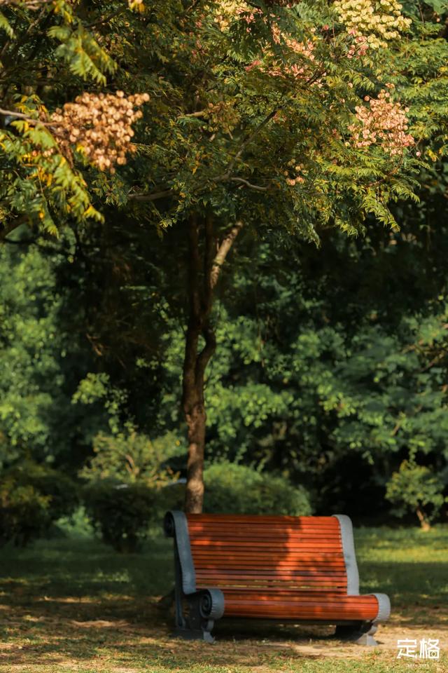 莲花山公园 网红打卡地，莲花山公园又红了